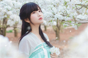 阿拉爱上海：The Enchanting Fragrance： A Secret Journey to the Night Flower Market