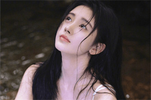 爱上海官网：上海 __ 的登革热疫情应急响应机制